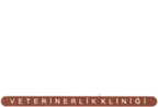 Ankavet Fethiye Veteriner Kliniği
